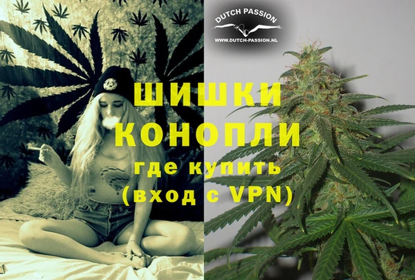 мяу мяу мука Новозыбков